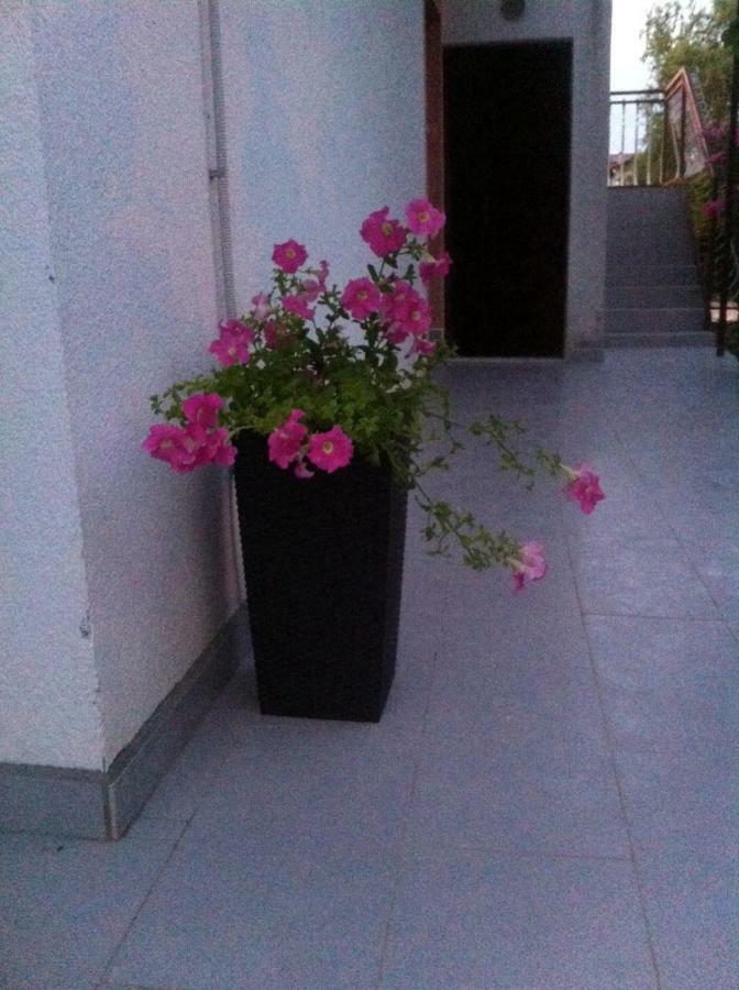 Apartmani Jadranka Vodice Exteriér fotografie